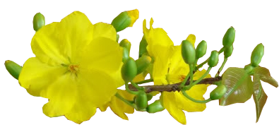 � D�n - T�n Trọng Sự Thật - Powered by vBulletin